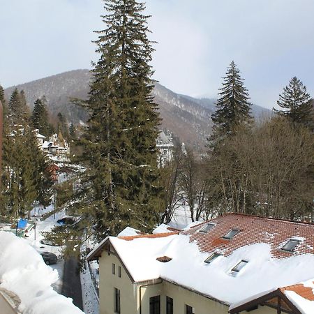 Appartement Central Park View Sinaia Extérieur photo