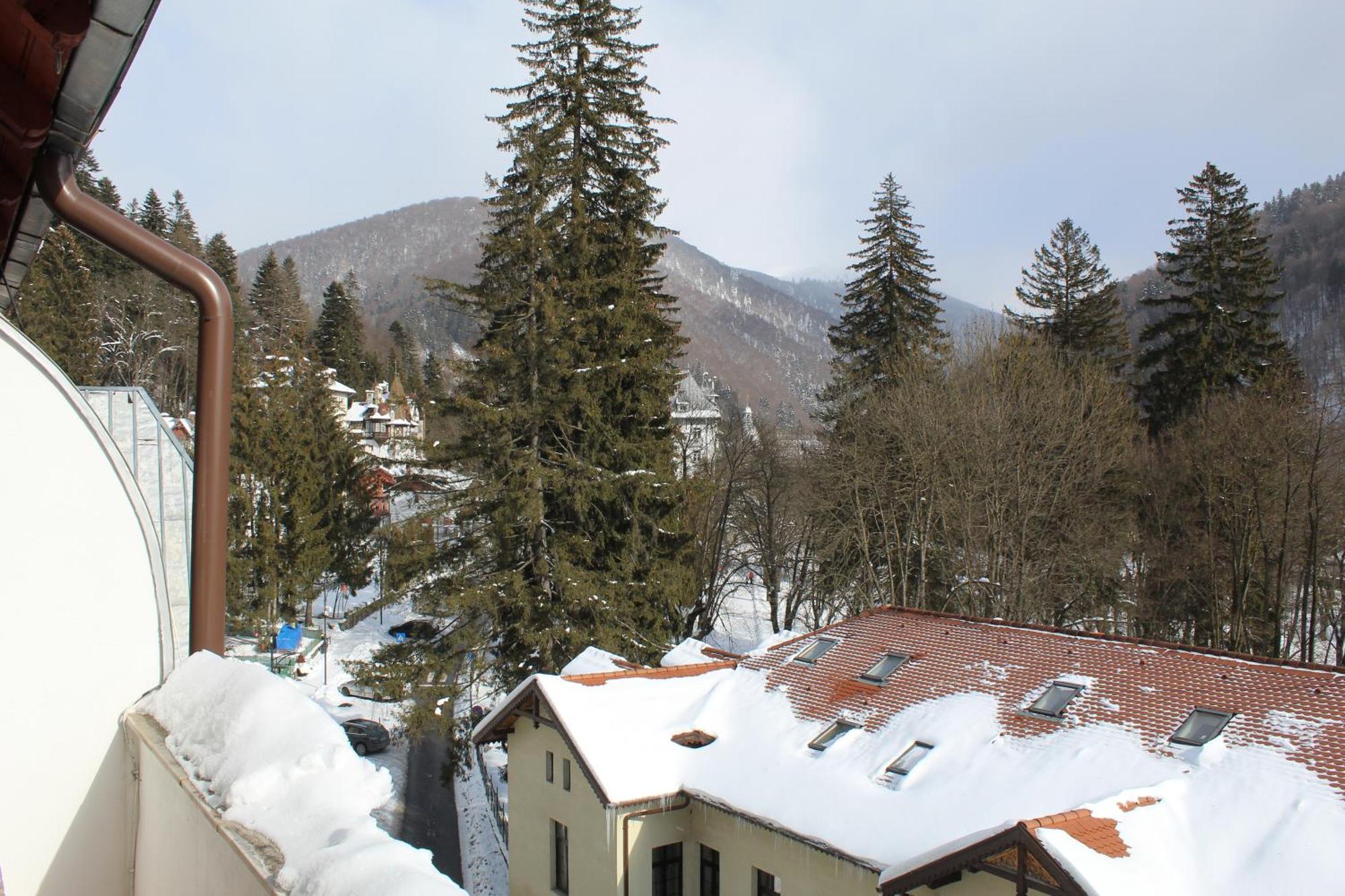 Appartement Central Park View Sinaia Extérieur photo