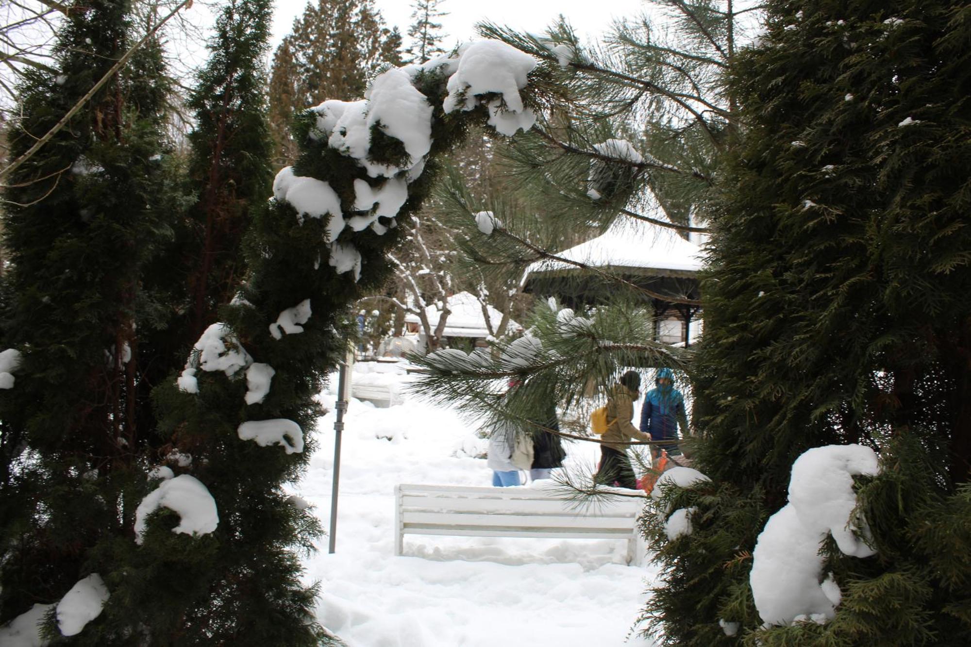 Appartement Central Park View Sinaia Extérieur photo