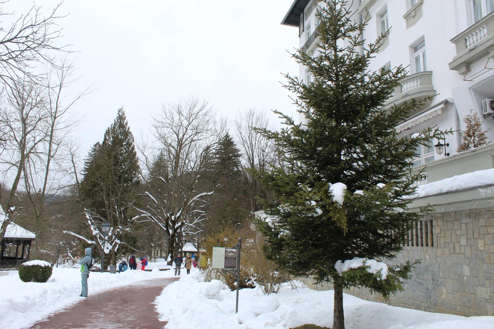 Appartement Central Park View Sinaia Extérieur photo