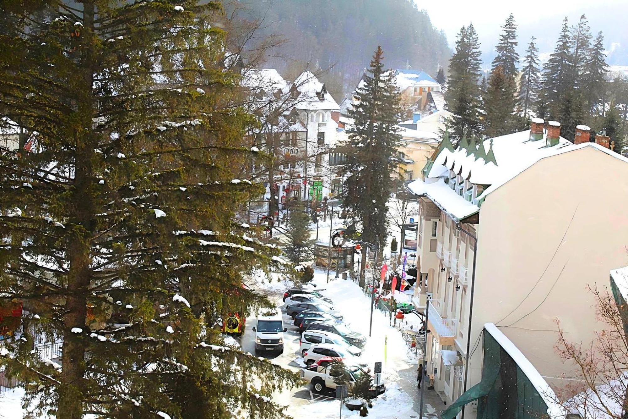 Appartement Central Park View Sinaia Extérieur photo